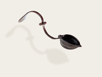 Scattering Spoon: Chinese Lantern by Carol Green & Lynn Hayes